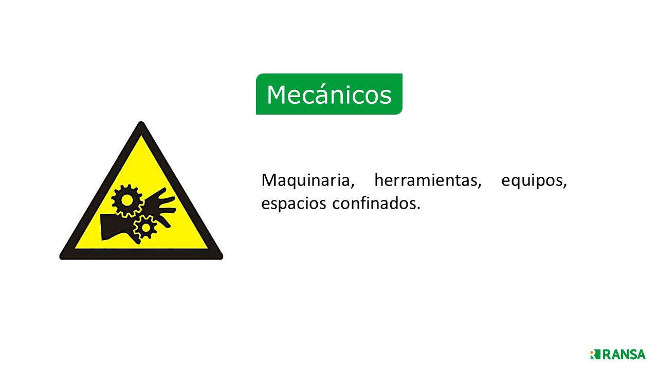 Diapositiva 14