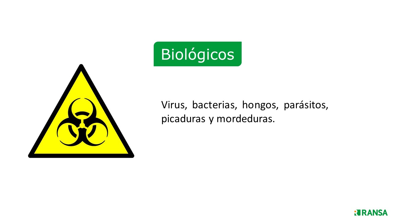 Diapositiva 15