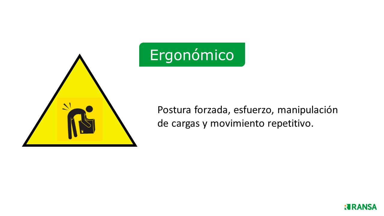 Diapositiva 16